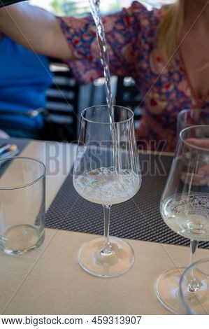 Drinking Of Txakoli Or Chacolí Slightly Sparkling Very Dry White Wine Produced In Spanish Basque Cou