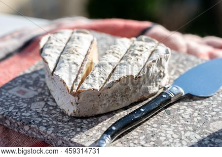 French Heartshaped Neufchatel Cow Cheese, Neufchâtel-en-bray, Normandy, France