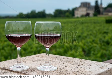 Tasting Of Red Dry Pinot Noir Wine In Glass On Premier And Grand Cru Vineyards In Burgundy Wine Maki