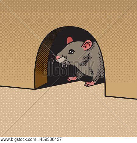 Rat Mouse Peeking Out Of Hole In Wall Pop Art Retro Vector Illustration. Comic Book Style Imitation.