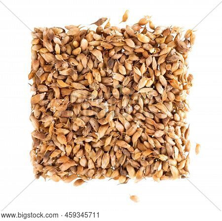 Utsho Suneli Seeds Isolated On White Background. Trigonella Caerulea Or Blue Fenugreek. Spices And H