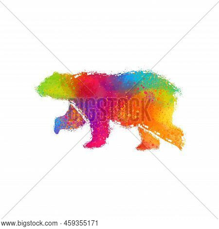 Colorful Bear Digital Art Illustration Ready For Print