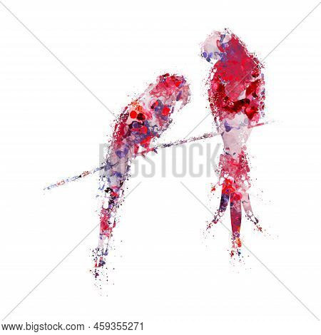 Birds Heart Love Couple Sitting On Twig Digital Art Print Wall Art