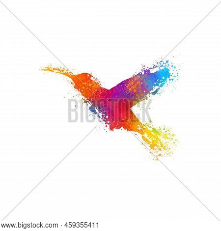 Flying Beautiful Colorful Bird Vector Illustration Digital Art Print