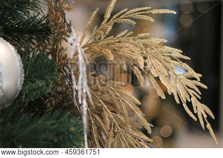 The Imgae Of Christmas At Hong Kong  26 Dec 2011