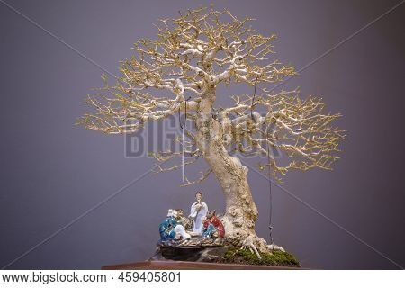 Mini Bonsai Tree In The Flowerpot On Bonsai Stand A Natural Background
