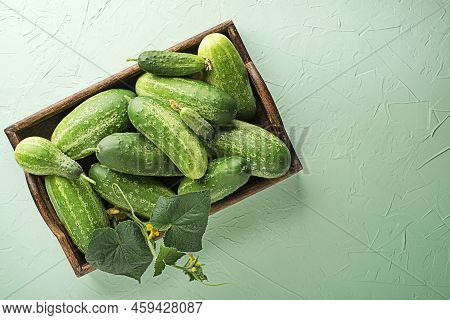 Cucumber On Green Texture Background. Cucumbers Harvest In Summer. Cucumbers For Salads Or Canning. 
