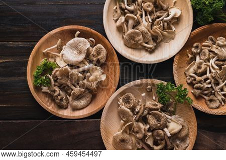 Fresh Edible Mushroom (lentinus Squarrosulus) In Natural Plate On Wooden Background, Organic Food In