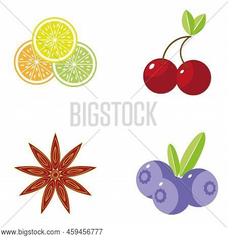 Coctail Fruit Pattern Wurh Cherry, Citri, Blueberry And Red Cinnamon Star.