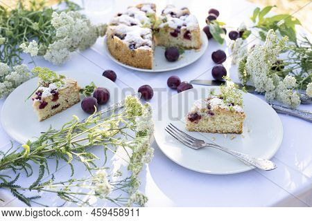 Garden And Tea Party