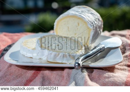 French Cheeses, Cylindrical Neufchatel Cow Cheese With Mold, Neufchâtel-en-bray, Normandy, France