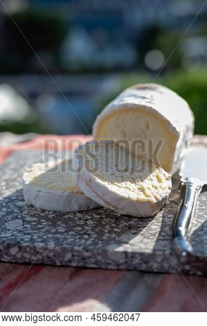 French Cheeses, Cylindrical Neufchatel Cow Cheese With Mold, Neufchâtel-en-bray, Normandy, France