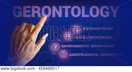 The Hand Of An Elderly Woman Points To The Inscription Gerontology. Concept Of Study Of The Social, 