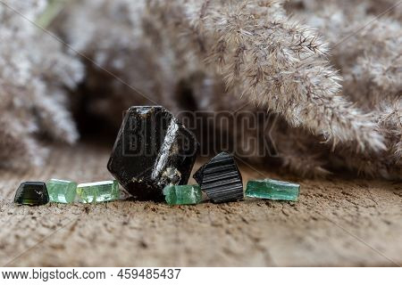 Group Of Black And Green Tourmalines On Wooden Table. Natural Crystal Stone Collection