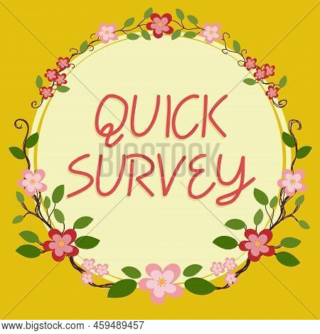 Handwriting Text Quick Survey. Business Approach Conduct Fast Check On Condition Value Situation Of 