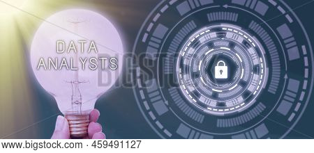 Sign Displaying Data Analysts. Concept Meaning Programmer Design And Create Report Identifies Patter