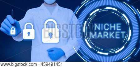 Text Showing Inspiration Niche Market. Word For Subset Of The Market On Which Specific Product Is Fo
