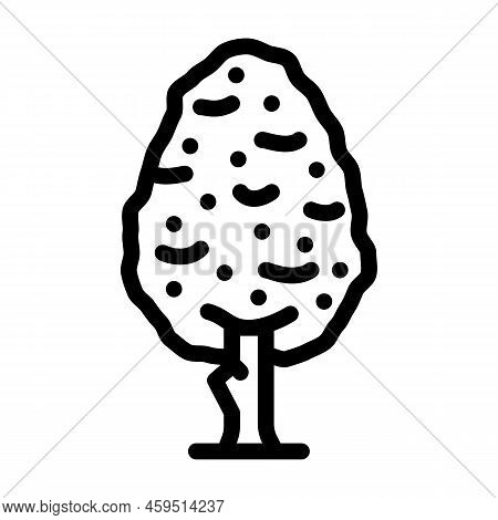 Pear Tree Line Icon Vector. Pear Tree Sign. Isolated Contour Symbol Black Illustration