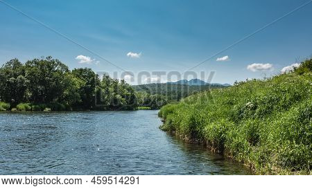A Beautiful Blue River With Banks Overgrown With Lush Green Vegetation. The Sun  Glare  On The Water