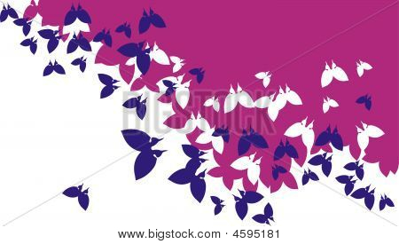 Background_butterfly.EPS