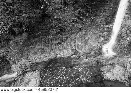 Lydford Gorge In Devon