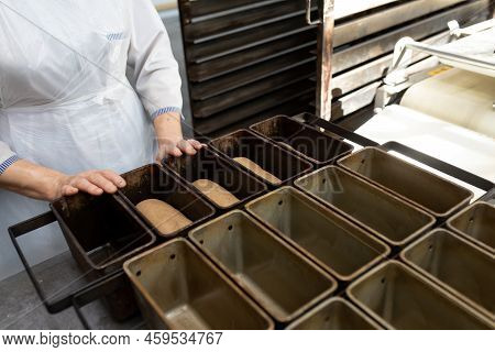 Bakery Worker Fills Metal Bread Baking Pans With Dough. Metal Containers For Baking Bread On Table. 
