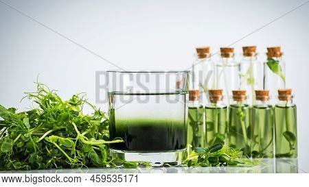 Chlorophyll Extract Is Poured In Pure Water In Glass Against A White Grey Background And Micro Green