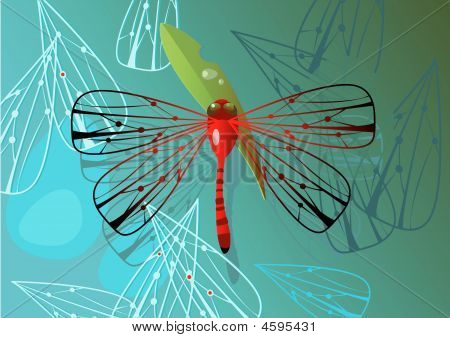 Dragonfly