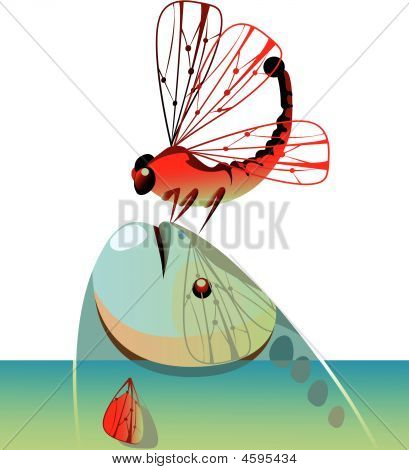 Vis en Dragonfly