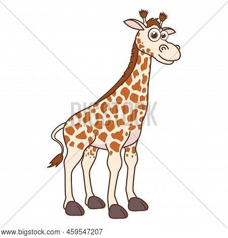 Funny Giraffe. Cute Young Giraffe Isolated On White Background. Zoo Animal Cartoon Character. Educat