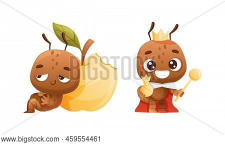 Cute Little Ant Eating Apple, Queen Ant In Red Mantle And Golden Crown. Funny Insect In Everyday Act