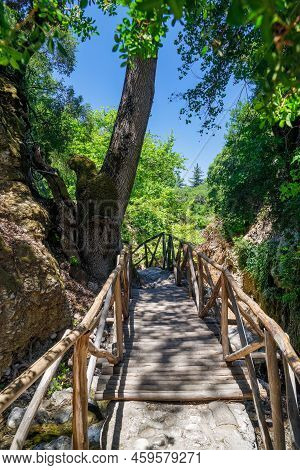 Walking Trail In The Valley Of Butterflies. The Petaloudes Valley Nature Reserve In Rhodes, Greece, 