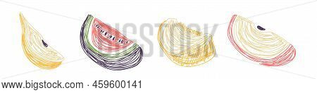 Pear, Watermelon, Melon And Apple. Fruit Sketch Set. Hand Drawn Vector Illustration. Pen Or Marker D