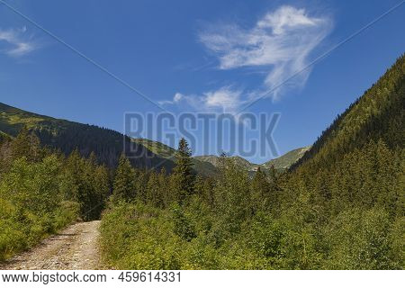 Green Valley, Mountain Peaks Against A Blue Cloudy Sky. Summer Mountain Forest Landscape. Rackova Va