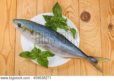 Raw Carcass Of The Yellowtail Of Species Japanese Amberjack And Twigs Of The Fresh Green Basil On A 