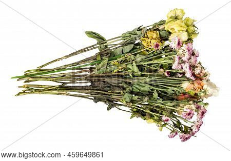 Withered Flowers Isolated On White Background. Withered Chrysanthemums. Withered Eustoma. Bouquet Of