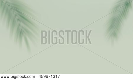 Shadow Of Tropical Leaves Background. Shadows From Palm Leaves On A White Wall Background. 3d Illust