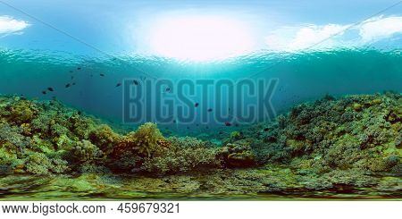 Reef Coral Scene. Tropical Underwater Sea Fish. Hard And Soft Corals, Underwater Landscape. Philippi