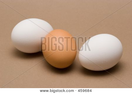 Eier