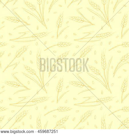 Wheat Golden Spikelets And Grains, Vector Yellow Seamless Pattern In Flat Style, Isolated. Design Of