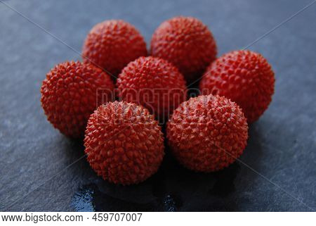 Goji Berries. Fresh, Healthy Berries. Delicious Berries.
