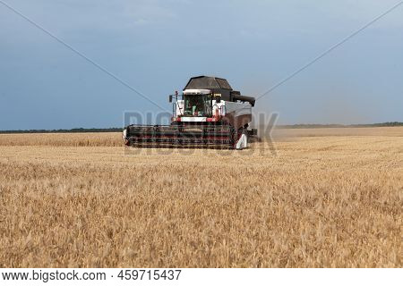 Combine Harvester In A Wheat Or Rye Field, Strada, Harvesting. Gathering Crop By Agricultural Machin