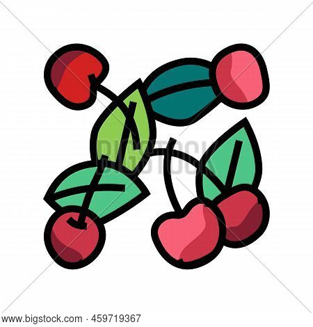 Cherry Composition Color Icon Vector. Cherry Composition Sign. Isolated Symbol Illustration