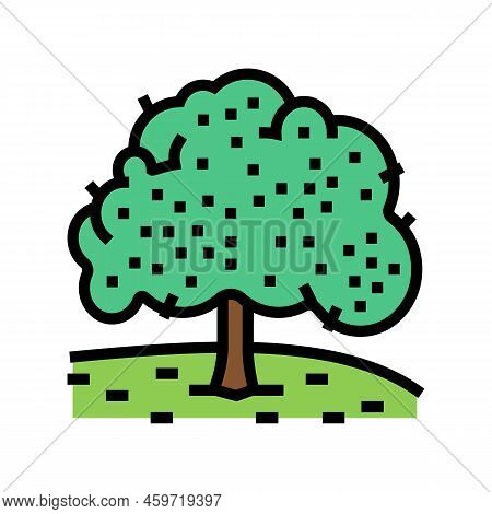 Cherry Tree Color Icon Vector. Cherry Tree Sign. Isolated Symbol Illustration