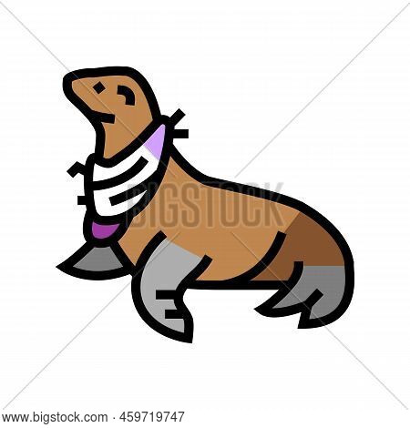 Seal With Package Color Icon Vector. Seal With Package Sign. Isolated Symbol Illustration