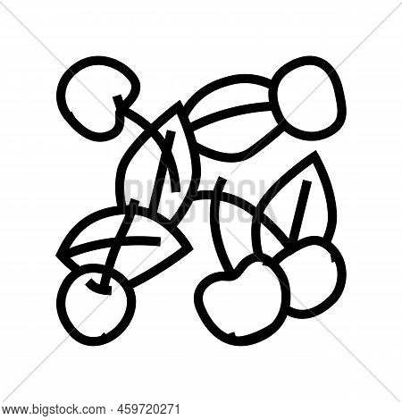 Cherry Composition Line Icon Vector. Cherry Composition Sign. Isolated Contour Symbol Black Illustra