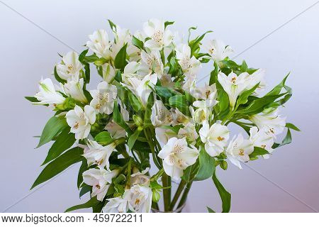 A Colorful Bouquet Of Alstroemeria In A Transparent Vase On The Windowsill In A Cafe. Bouquet Of Als