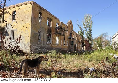 Semenovka, Ukraine - September 5, 2014: Destroyed House Psychiatric Hospital In The Village Semenovk