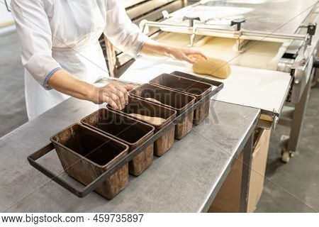 Bakery Worker Fills Metal Bread Baking Pans With Dough. Industrial Automated Line For Baking Bakery 