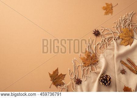 Autumn Aesthetic Concept. Top View Photo Of Cinnamon Sticks Anise Yellow Maple Leaves Plaid And Pine